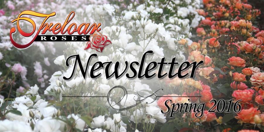 Treloar Roses - Spring Newsletter 2016