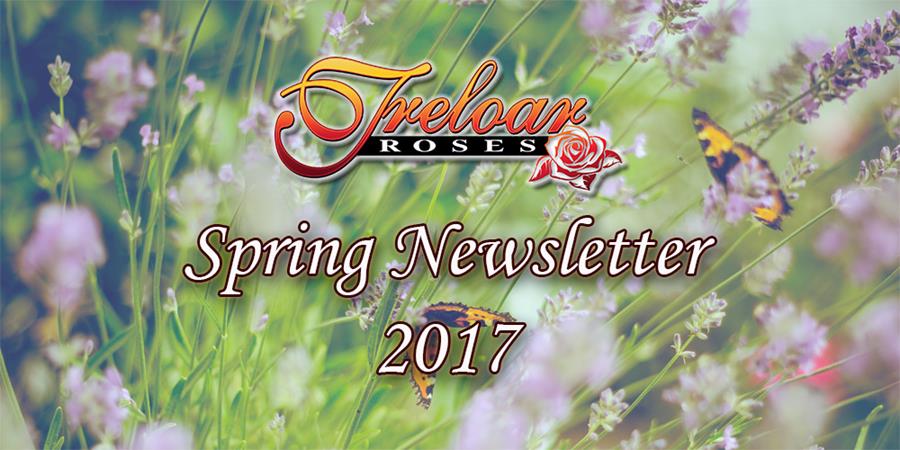 Treloar Roses - Spring Newsletter 2017