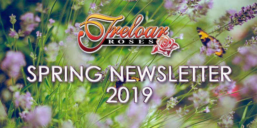 Treloar Roses - Spring Newsletter 2019