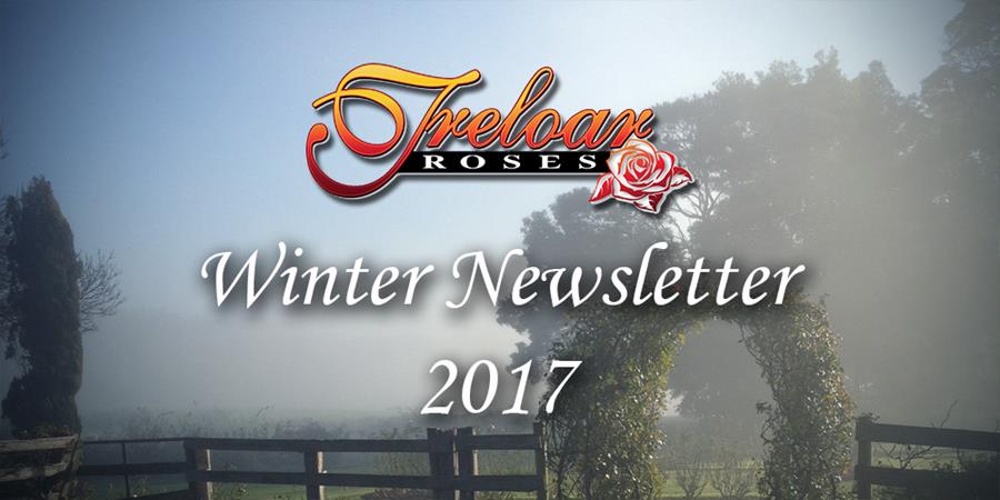 Treloar Roses - Winter Newsletter 2017