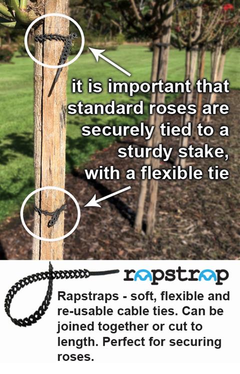 Rap Straps - soft, flexible and re-usable cable ties.