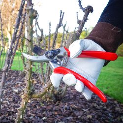 Gardening Tools