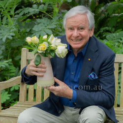 Graham Ross AM (Potted Rose)