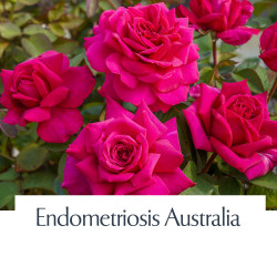 Endo Roses Endometriosis Australia