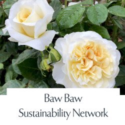 Baw Baw Sustainability Network
