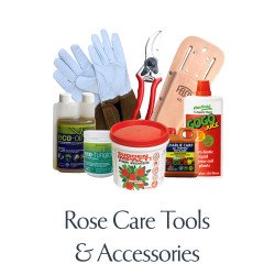 Rose Care, Tools & Accessories