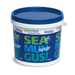 2kg