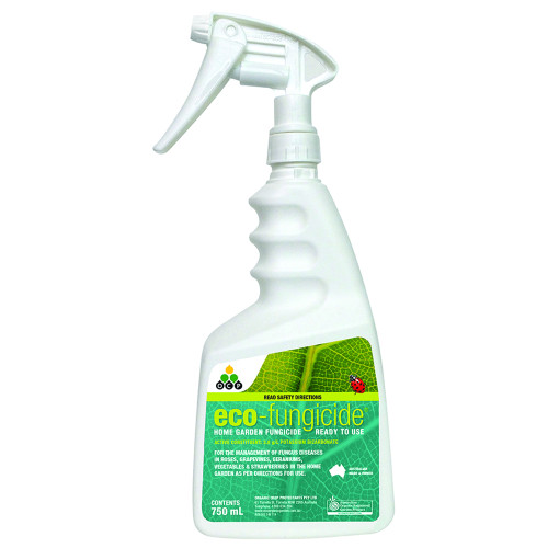 Eco Fungicide - Ready To Use Spray 750ml