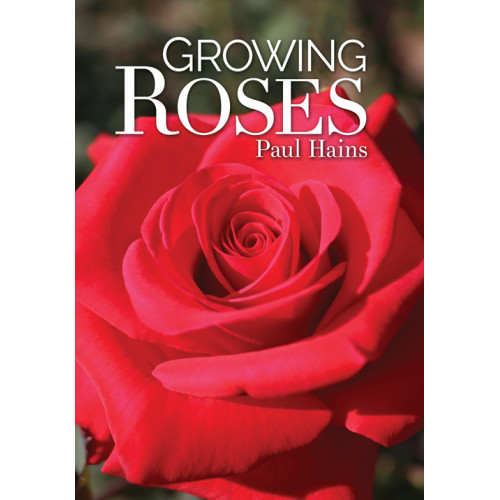 Growing Roses