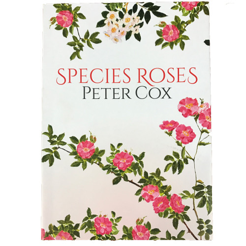 Species Roses