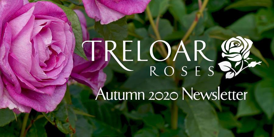 Treloar Roses - Autumn Newsletter 2020