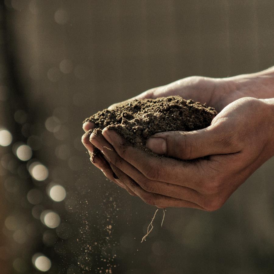 SOIL PREPARATION