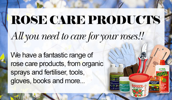 ROSE CARE PRODUCTS - all you need to care for your roses!!