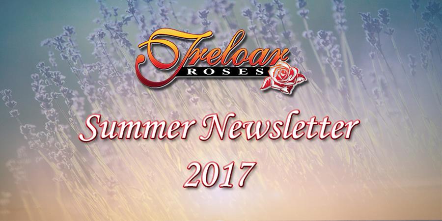 Treloar Roses - Summer Newsletter