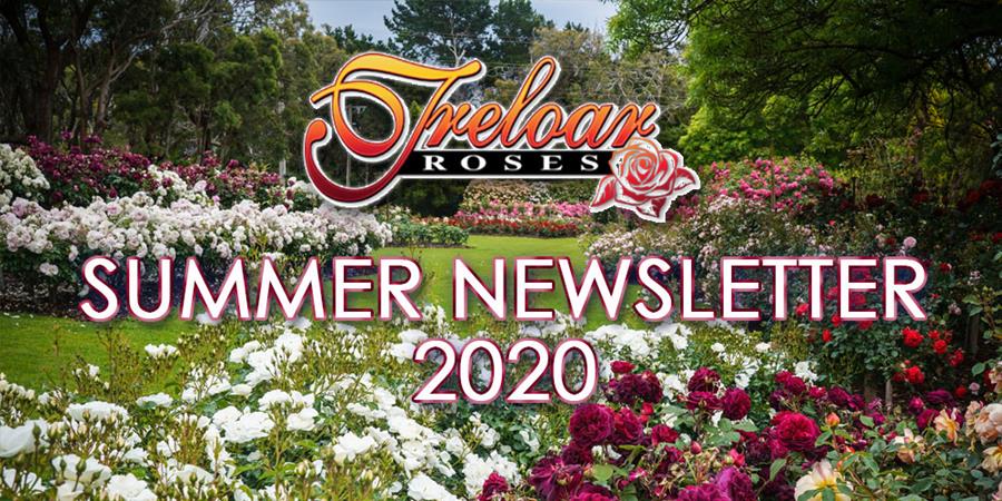 Treloar Roses - Summer Newsletter 2020